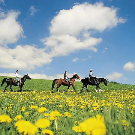 דירה Steirerloft *