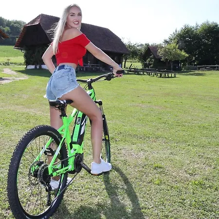 Steirerloft Apartman *