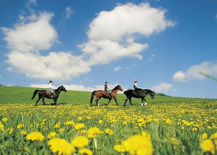 아파트 Steirerloft *